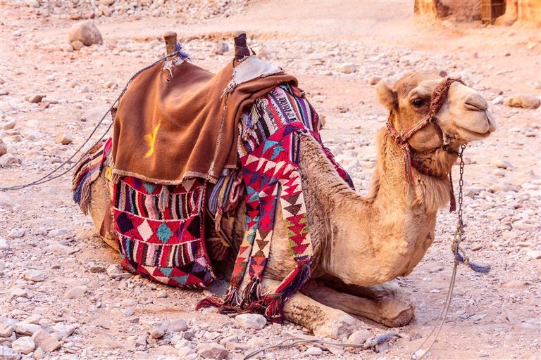 Klassisches Jordanien  @HildaWeges/istock